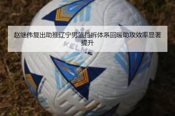 赵继伟复出助推辽宁男篮挡拆体系回暖助攻效率显著提升